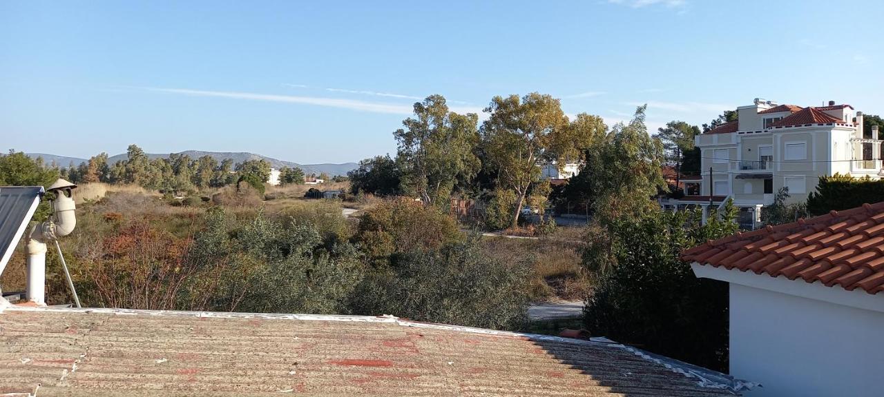 Elizas House Villa Nea Makri Ngoại thất bức ảnh
