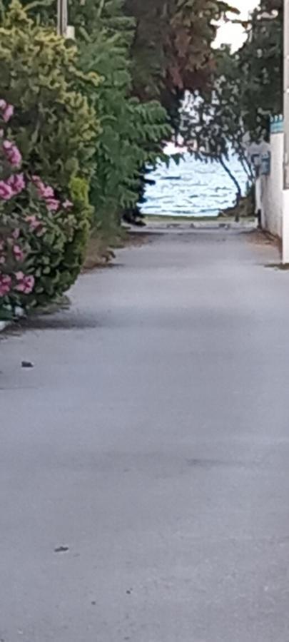 Elizas House Villa Nea Makri Ngoại thất bức ảnh