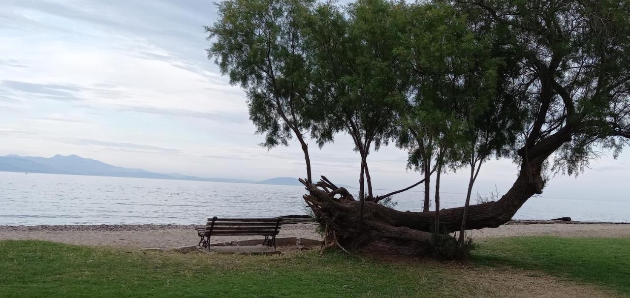 Elizas House Villa Nea Makri Ngoại thất bức ảnh